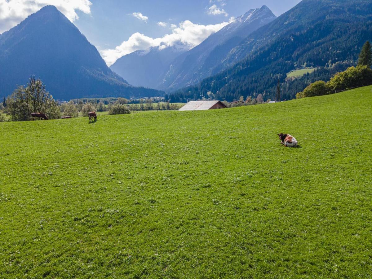 Landhaus Hotter 26 Neukirchen am Großvenediger エクステリア 写真